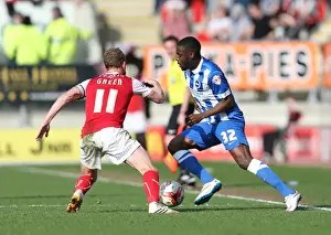 Rotherham United 06APR15 Prints: Mustapha Carayol: In Action for Brighton and Hove Albion against Rotherham United (April 6)