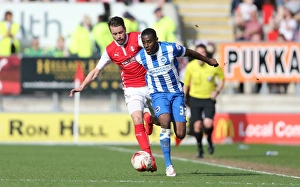 Rotherham United 06APR15 Prints: Mustapha Carayol: In Action for Brighton and Hove Albion vs