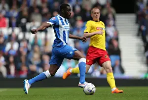 Watford 25APR15 Prints: Mustapha Carayol in Action: Brighton & Hove Albion vs. Watford (25APR15)