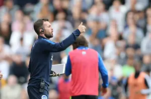 Nathan Jones Prints: Nathan Jones in Action: Brighton & Hove Albion vs Fulham