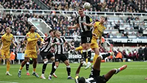 Newcastle United Defender Dan Burn 33 Prints: Newcastle United v Brighton and Hove Albion FA Cup 5th Round 02MAR25