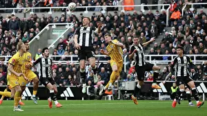 Newcastle United v Brighton and Hove Albion FA Cup 5th Round 02MAR25