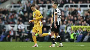 Fifth Round Prints: Newcastle United v Brighton and Hove Albion FA Cup 5th Round 02MAR25