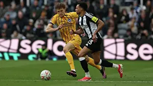 Fifth Round Prints: Newcastle United v Brighton and Hove Albion FA Cup 5th Round 02MAR25