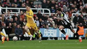 Fifth Round Prints: Newcastle United v Brighton and Hove Albion FA Cup 5th Round 02MAR25
