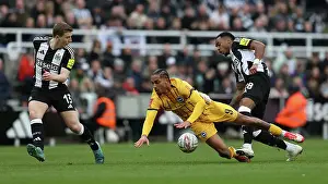 Fifth Round Prints: Newcastle United v Brighton and Hove Albion FA Cup 5th Round 02MAR25