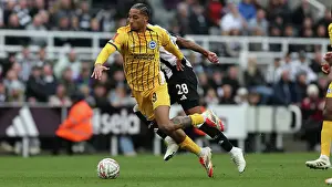 Fifth Round Prints: Newcastle United v Brighton and Hove Albion FA Cup 5th Round 02MAR25