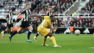 Fifth Round Prints: Newcastle United v Brighton and Hove Albion FA Cup 5th Round 02MAR25