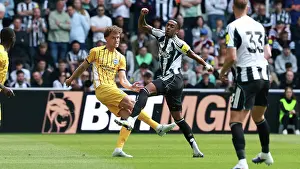 Clears The Danger Prints: Newcastle United v Brighton and Hove Albion
Premier League
02MAY26