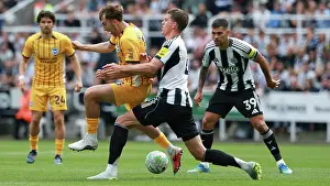 Jack Hinshelwood Prints: Newcastle United v Brighton and Hove Albion
Premier League
02MAY26
