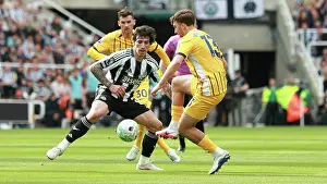 Jack Hinshelwood Prints: Newcastle United v Brighton and Hove Albion
Premier League
02MAY26