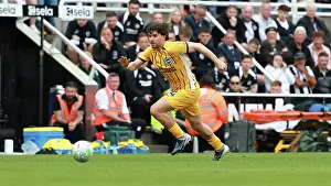 Newcastle United 02MAY26 Prints: Newcastle United v Brighton and Hove Albion
Premier League
02MAY26