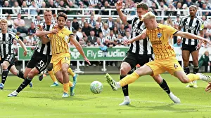 Newcastle United 02MAY26 Prints: Newcastle United v Brighton and Hove Albion
Premier League
02MAY26