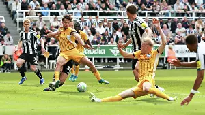 Newcastle United 02MAY26 Prints: Newcastle United v Brighton and Hove Albion
Premier League
02MAY26