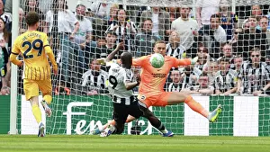 Bart Verbruggen Prints: Newcastle United v Brighton and Hove Albion
Premier League
02MAY26