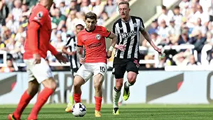 Newcastle United v Brighton and Hove Albion Premier League 11MAY24