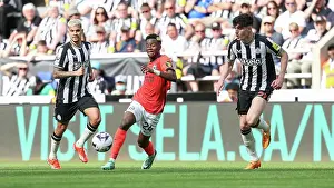 Newcastle United 11MAY24 Prints: Newcastle United v Brighton and Hove Albion Premier League 11MAY24