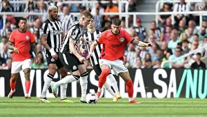 Newcastle United 11MAY24 Prints: Newcastle United v Brighton and Hove Albion Premier League 11MAY24
