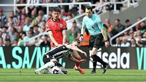 Newcastle United 11MAY24 Prints: Newcastle United v Brighton and Hove Albion Premier League 11MAY24