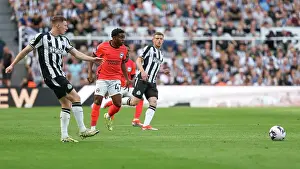 Newcastle United 11MAY24 Prints: Newcastle United v Brighton and Hove Albion Premier League 11MAY24