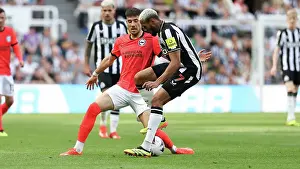 Newcastle United 11MAY24 Prints: Newcastle United v Brighton and Hove Albion Premier League 11MAY24