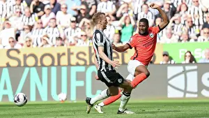 Newcastle United 11MAY24 Prints: Newcastle United v Brighton and Hove Albion Premier League 11MAY24
