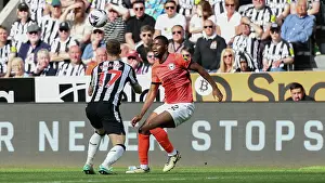 Newcastle United 11MAY24 Prints: Newcastle United v Brighton and Hove Albion Premier League 11MAY24