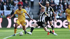 Evades A Challenge Prints: Newcastle United v Brighton and Hove Albion Premier League 19OCT24