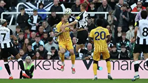 Newcastle United Defender Dan Burn 33 Prints: Newcastle United v Brighton and Hove Albion Premier League 19OCT24