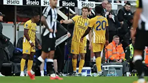 Newcastle United 19OCT24 Prints: Newcastle United v Brighton and Hove Albion Premier League 19OCT24