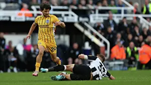 Newcastle United Defender Dan Burn 33 Prints: Newcastle United v Brighton and Hove Albion Premier League 19OCT24