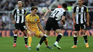 Newcastle United 19OCT24 Prints: Newcastle United v Brighton and Hove Albion Premier League 19OCT24