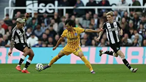 Newcastle United 19OCT24 Prints: Newcastle United v Brighton and Hove Albion Premier League 19OCT24