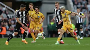 Newcastle United 19OCT24 Prints: Newcastle United v Brighton and Hove Albion Premier League 19OCT24