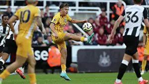 Newcastle United 19OCT24 Prints: Newcastle United v Brighton and Hove Albion Premier League 19OCT24