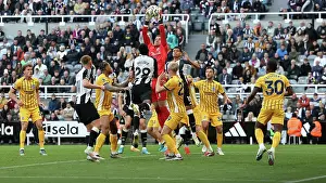 Newcastle United 19OCT24 Prints: Newcastle United v Brighton and Hove Albion Premier League 19OCT24