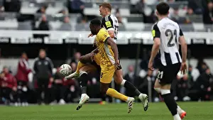 Fifth Round Prints: Newcastle United v Brighton and Hove AlbionFA Cup 5th Round02MAR25