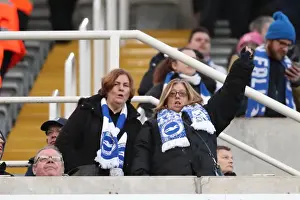 Newcastle United vs. Brighton and Hove Albion: A Premier League Battle at St. James Park (30DEC17)