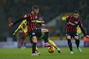 Images Dated 22nd November 2014: Norwich City v Brighton and Hove Albion