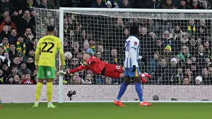 Makes A Save Prints: Norwich City v Brighton and Hove Albion Emirates FA Cup 11JAN25