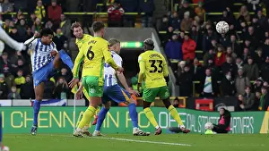 Aeriel Challenge Prints: Norwich City v Brighton and Hove Albion Emirates FA Cup 11JAN25