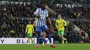 Norwich City 11JAN25 Prints: Norwich City v Brighton and Hove Albion Emirates FA Cup 11JAN25