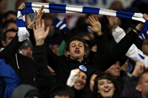 Bolton Wanderers - 24-11-2012 Prints: Nostalgic Home Game: Brighton & Hove Albion vs. Bolton Wanderers (2012-13 Season)
