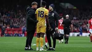 Nottingham Forest 01FEB25 Prints: Nottingham Forest v Brighton and Hove Albion Premier League 01FEB25