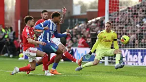 Nottingham Forest 30NOV25 Prints: Nottingham Forest v Brighton and Hove Albion
Premier League
26NOV25