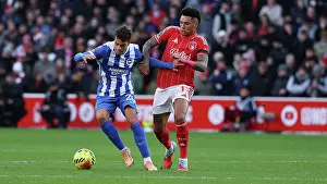Nottingham Forest 30NOV25 Prints: Nottingham Forest v Brighton and Hove Albion
Premier League
26NOV25