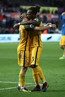 November Showdown: Premier League Clash between Swansea City and Brighton & Hove Albion (4NOV17)