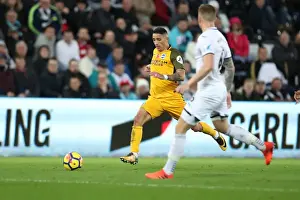 November Showdown: Premier League Clash Between Swansea City and Brighton & Hove Albion (4NOV17)