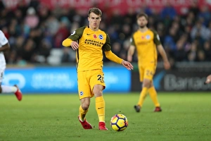November Showdown: Swansea City vs. Brighton & Hove Albion - Premier League Rivalry (4NOV17)