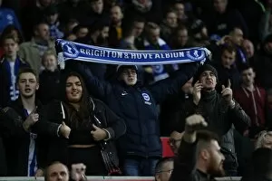 Images Dated 4th November 2017: November Showdown: Swansea City vs. Brighton and Hove Albion in Premier League Action (4 Nov 2017)